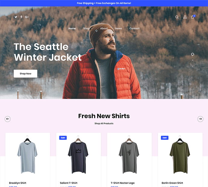 American Web Store eCommerce Portfolio 17